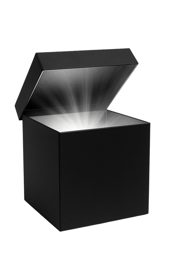 MYSTERY BOX MEMBERS ONLY + FREE SHIPPING
