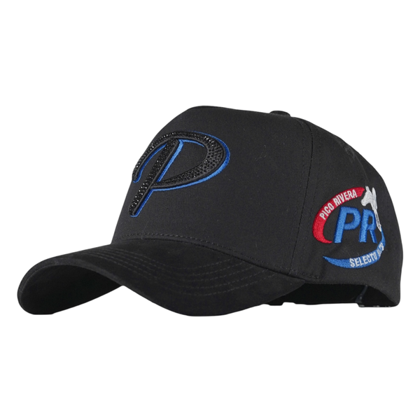 DON PICO RIVERA AZUL